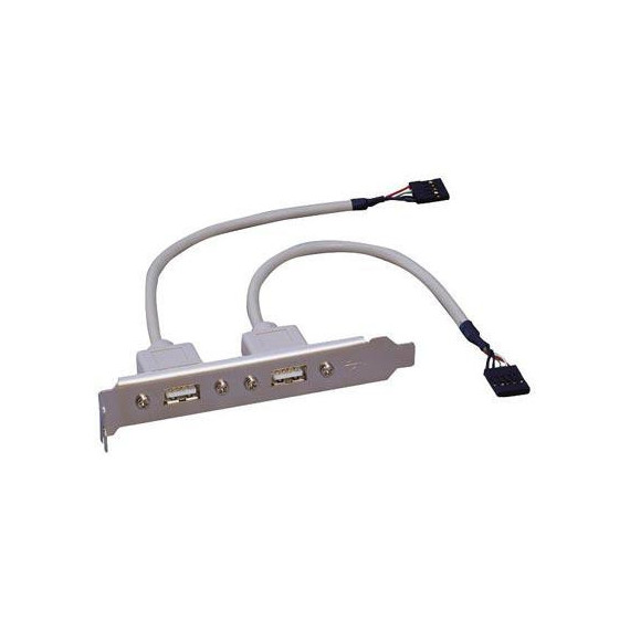 SLOT CON 2 CONEXIONES USB