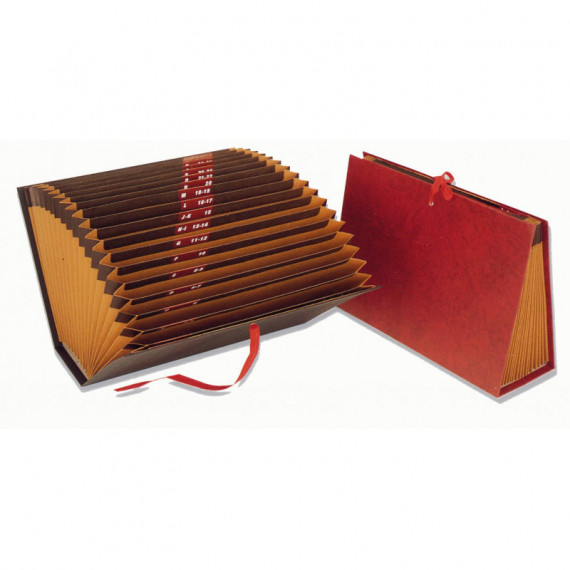 CARPETA FUELLE CUARTO CARTON