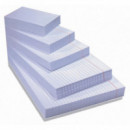 FICHAS RAYADAS N.5 (160X215)