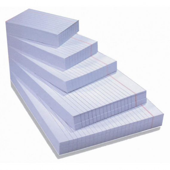 FICHAS RAYADAS N.5 (160X215)