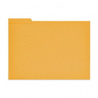 SUBCARPETA PESTAÑA FOLIO NARANJA