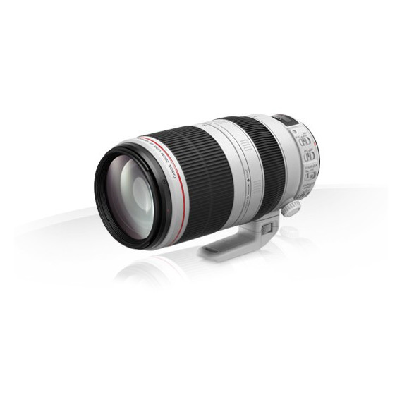 CANON Ef 100-400MM F/4.5-5.6L Is Ii Usm