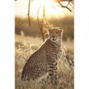 TAMRON Sp 150-600MM F/5-6.3 Di Vc Usd G2 para Nikon