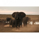 TAMRON Sp 150-600MM F/5-6.3 Di Vc Usd G2 para Nikon