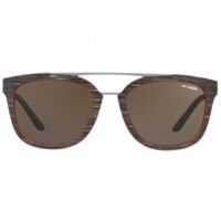 Gafas de Sol ARNETTE Juncture AN4232/2430-73