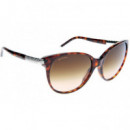 Gafas de Sol BVLGARI BV8101B/851-13