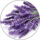 MEDISANA Esencia Aroma de Lavanda