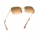 Gafas de Sol RAY-BAN Rectangle RB1969/9147-51