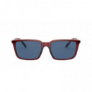 Gafas de Sol ARNETTE Calipso AN4270/2662-55