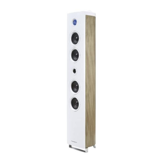 Torre de Sonido THOMSON DS301