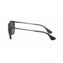 RAY-BAN Erika RB4171/622-T3