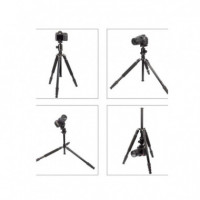 TRIOPO Trépied MT2504X8+CD2