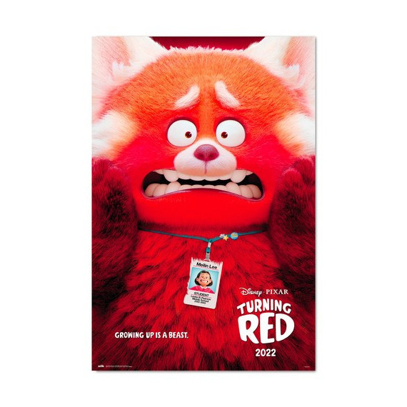 Póster Panda Mei Red (53)  GRUPO ERIK