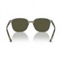 Gafas de Sol RAY-BAN Leonard RB2193/6635-5C