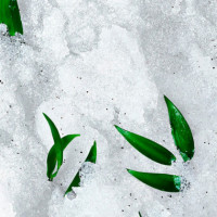 Rêve de Thé Exfoliante Granulado Revitalizante  NUXE