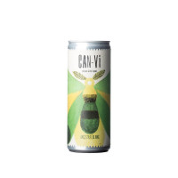 Can-vi - Ancestral Blanco - Lata 250ML  CAN-VI - NATURAL & CRAFT WINES