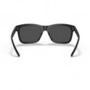 Gafa de Sol RALPH LAUREN RL8203QU/5375-87