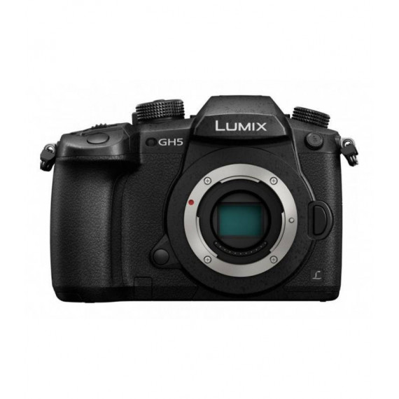 PANASONIC Lumix DC-GH5
