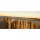 SONY Sel Fe 28MM F2.0 Negro