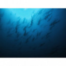 Gopro Carcasa Buceo HERO9 / Hero 10 / Hero 11 / Hero 12 / Hero 13  GOPRO