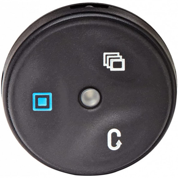 GARMIN Mando a Distancia