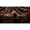PS4 The Last Of Us Parte Ii Playstation  SONY