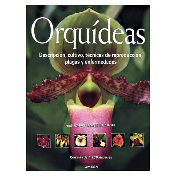 Orquideas
