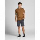 Jpstshark Jjsweat Shorts JACK &amp; JONES