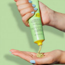 Golden Matcha  TEAOLOGY