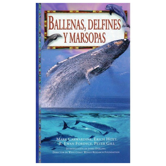 Ballenas, Delfines y Marsopas