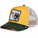 Gorra Goorin Bros CASH