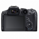 CANON Eos R7 Body (no Adapter) Cámara