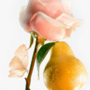 Petite Cherie  GOUTAL