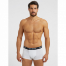 3PACK Boxer GUESS Verde-blanco