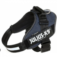 JULIUS K9 Idc Vaquero Talla Baby 2 33-45 Cm
