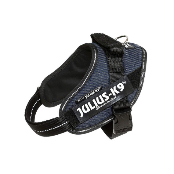 JULIUS K9 Idc Vaquero Talla Mini 49-67 Cm