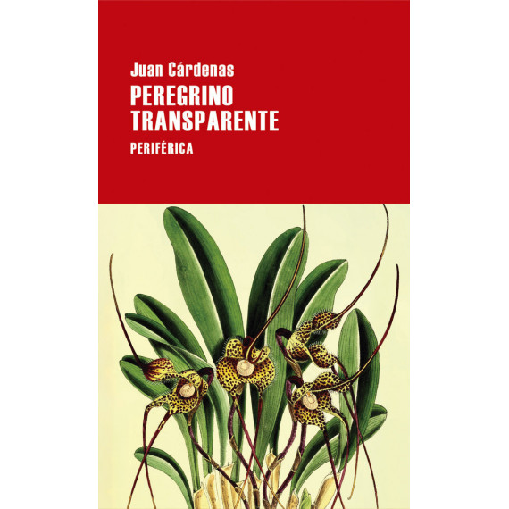 Peregrino Transparente - Guanxe Atlantic Marketplace