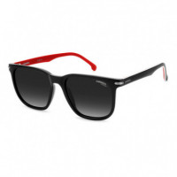 Ca 300/S M4P  CARRERA