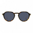 Db 1098/S 21K Havana Gold - Blue  DAVID BECKHAM EYEWEAR
