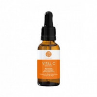 SEGLE Vitamina C Dia/noche 30ML