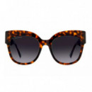 D2 0097/S 086 (9O) Havana  DSQUARED2 EYEWEAR