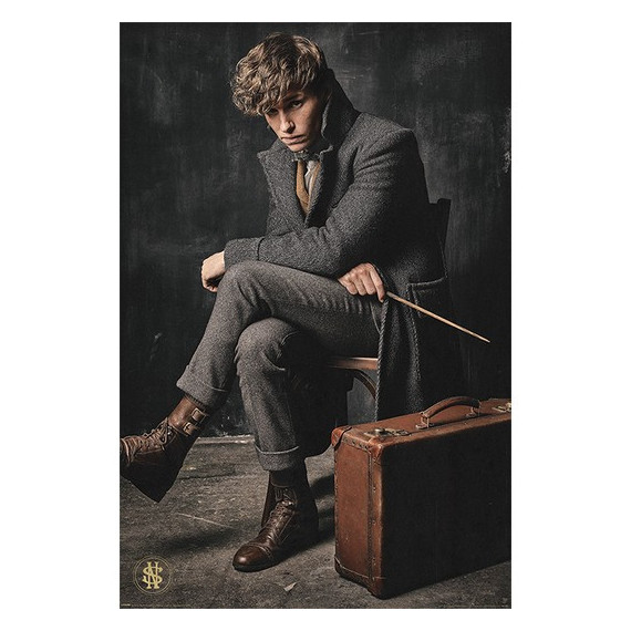 Póster Animales Fantásticos los Crímenes de Grindelwald (90)  GRUPO ERIK