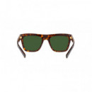 Gafas de Sol DOLCE & GABBANA DG4420/502-71