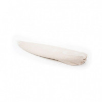 FCS - All Purpose Stretch - Funda