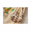 BRIXTON - Paradise - Short