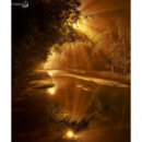 Cuentos para Niã±os que Sueã±an con Cambiar el Mundo