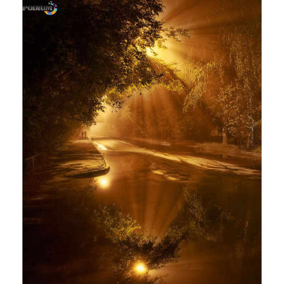 Cuentos para Niã±os que Sueã±an con Cambiar el Mundo