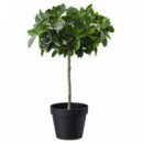Fejka Planta Artf 12 Ficus  IKEA