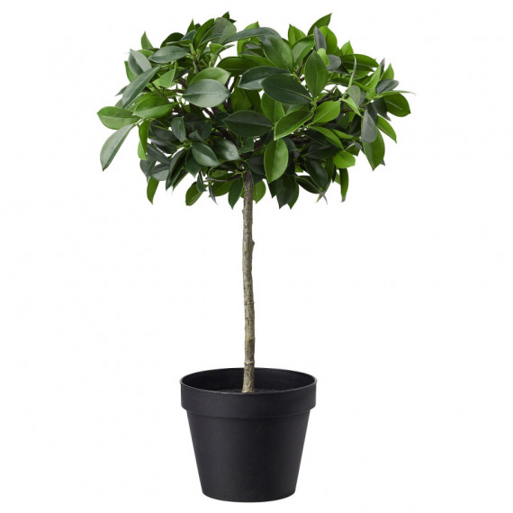 Fejka Planta Artf 12 Ficus  IKEA