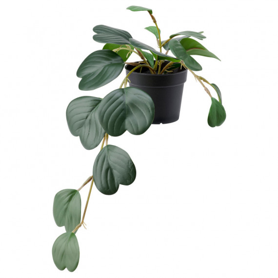 Fejka Planta Artf 9 Colgante/peperomia  IKEA